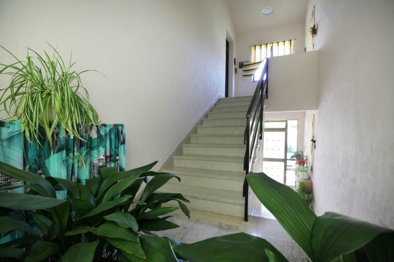 Guest House Ljubica メドゥリン エクステリア 写真